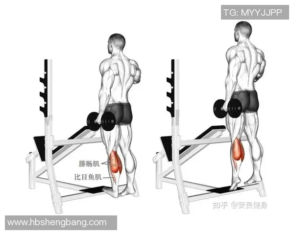 家里哑铃健身计划打造完美身材的科学方法与实用技巧分享